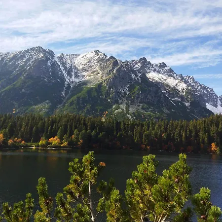 Lucky Cat Мини-отель *