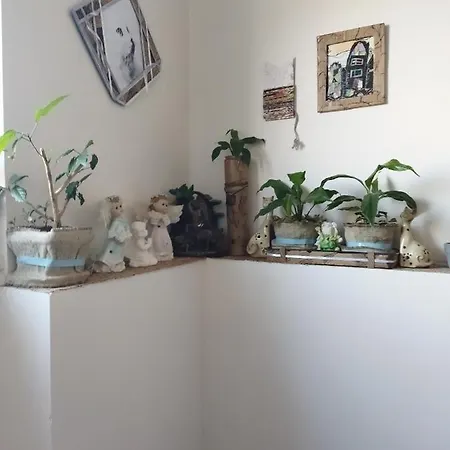 Lucky Cat Inn