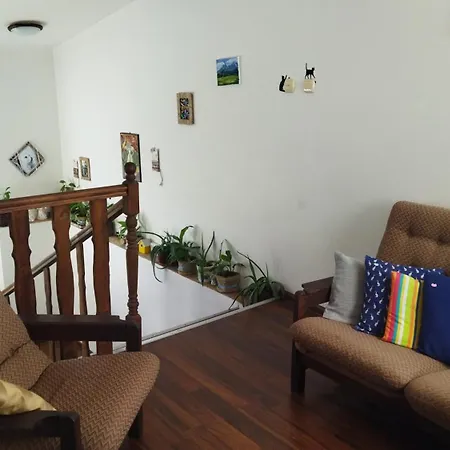 Lucky Cat Nová Lesná