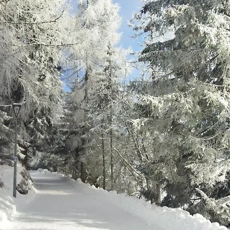 Fogadó Lucky Cat Nová Lesná