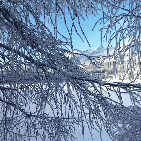 Мини-отель Lucky Cat *