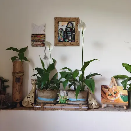 Lucky Cat Мини-отель *