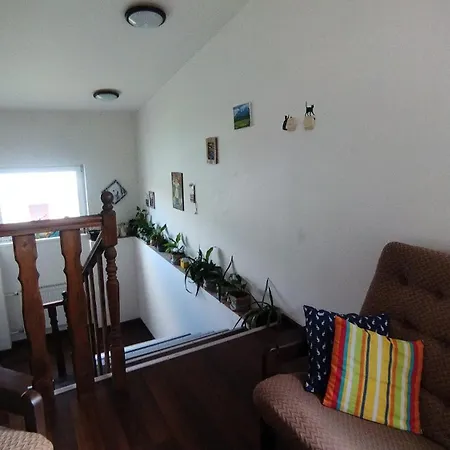 Lucky Cat Мини-отель *