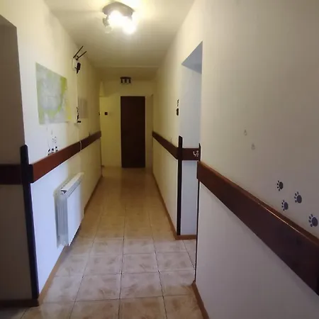 Lucky Cat Нова-Лесна