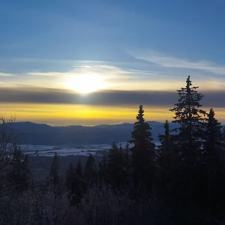 Lucky Cat Мини-отель