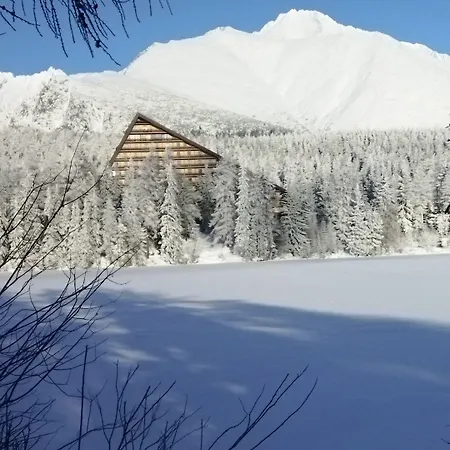 Мини-отель Lucky Cat *