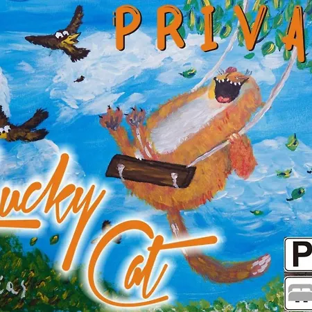 Мини-отель Lucky Cat Нова-Лесна